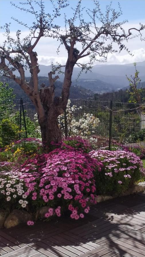 Studio Le Romantique A 20 Kms De Nice Bendéjun Exteriér fotografie